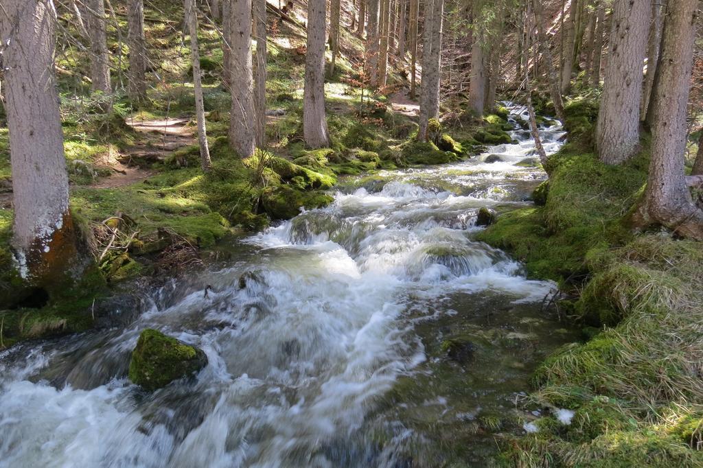 Ferienwohnung Neuper Bad Mitterndorf Esterno foto