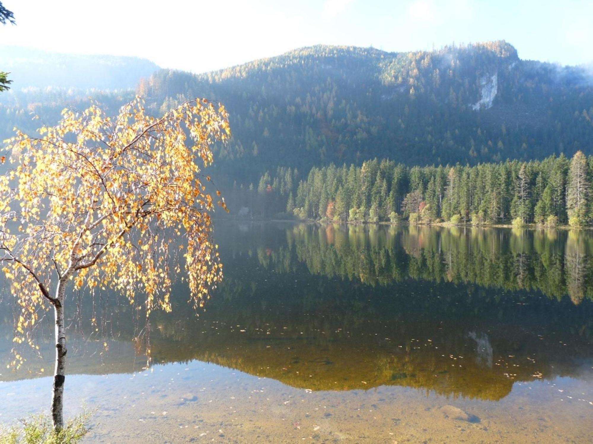 Ferienwohnung Neuper Bad Mitterndorf Esterno foto
